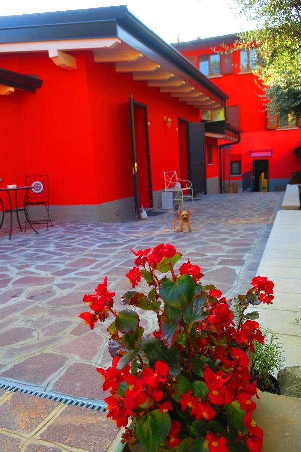 Came Bed & Breakfast Alzano Lombardo Bagian luar foto